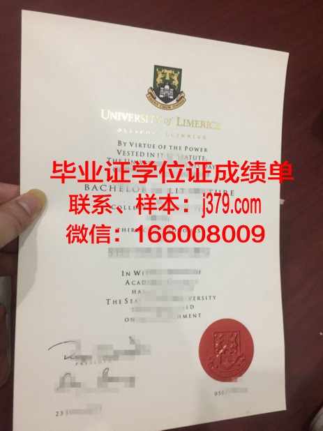 利默里克大学研究生证书专业解析