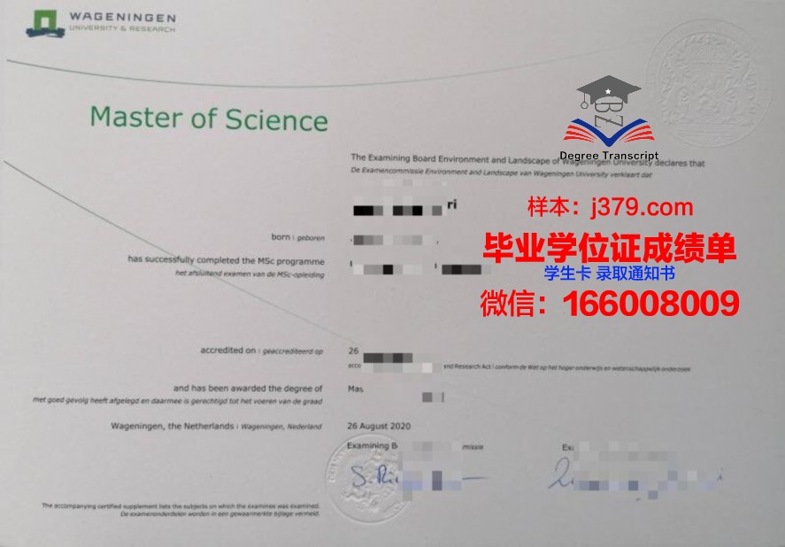 探索九大毕业证样式设计特点