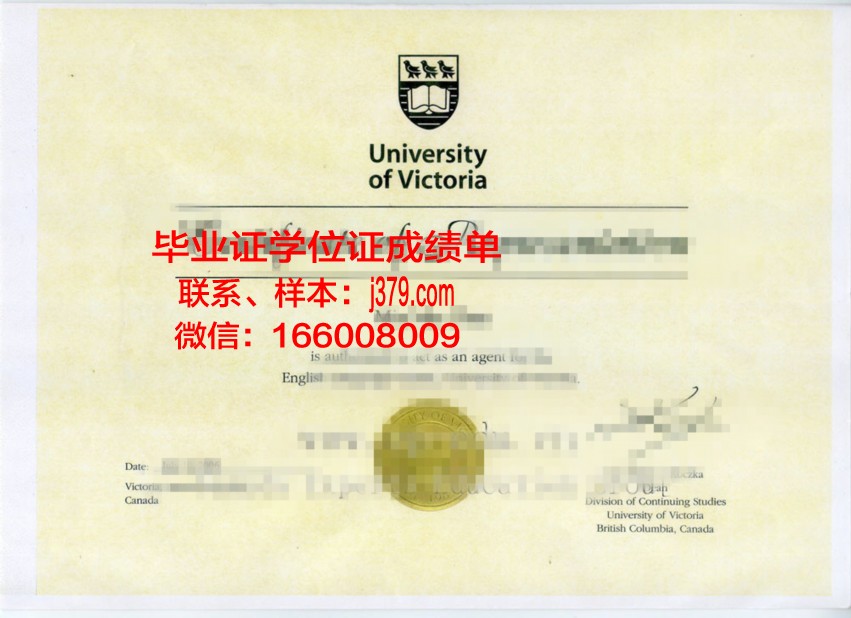 南方联邦大学学历证明样本展示