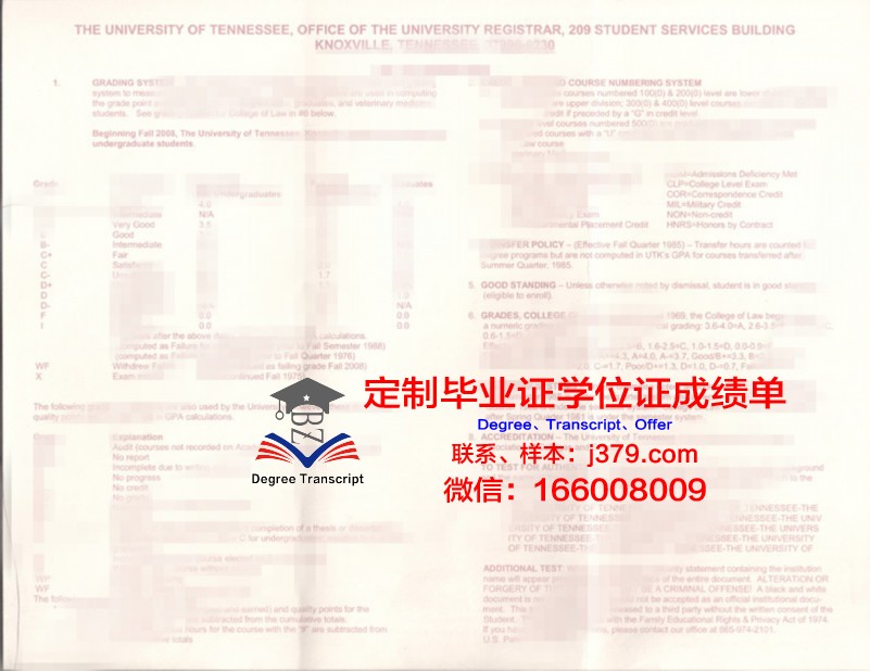 田纳西理工大学本科证书