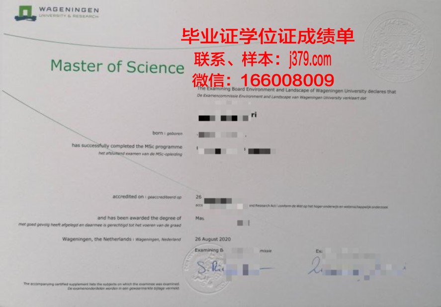 印理工毕业证电子版存储与备份技巧