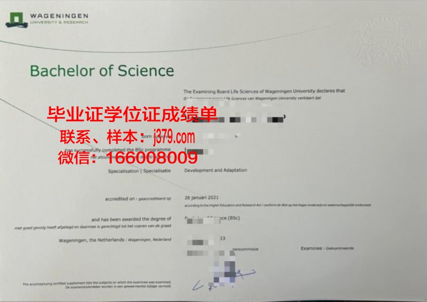 普法叶校本科证书:资深专家为你解析考试要点