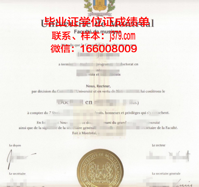 德蒙特福特大学本科学位文凭
