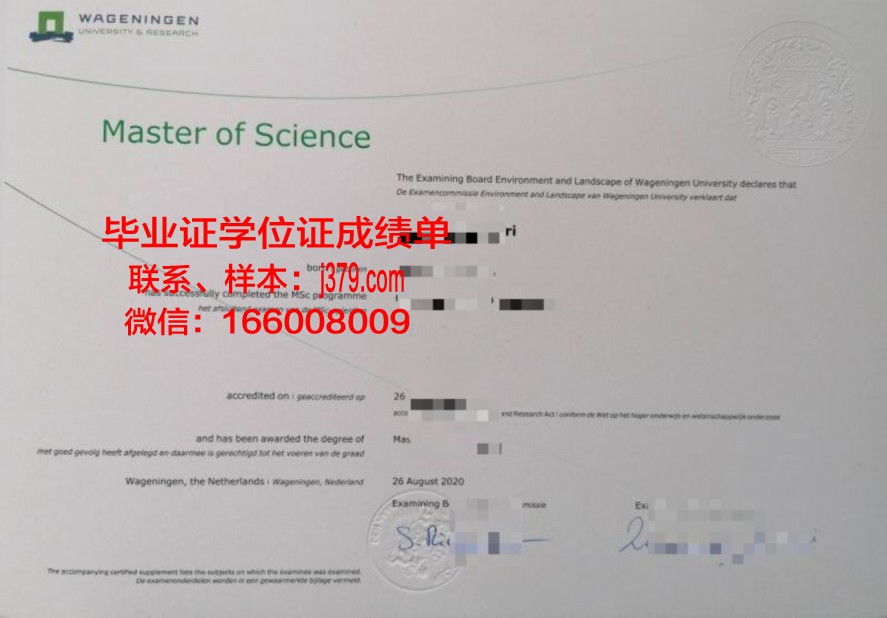 Gamecocks毕业证与成绩单:就业竞争力分析