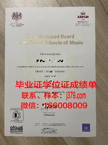 Gtown Diploma证书:学员心得与成功案例分享