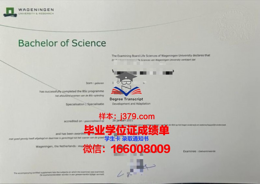 白大学本科证书:行业需求与毕业生就业方向分析
