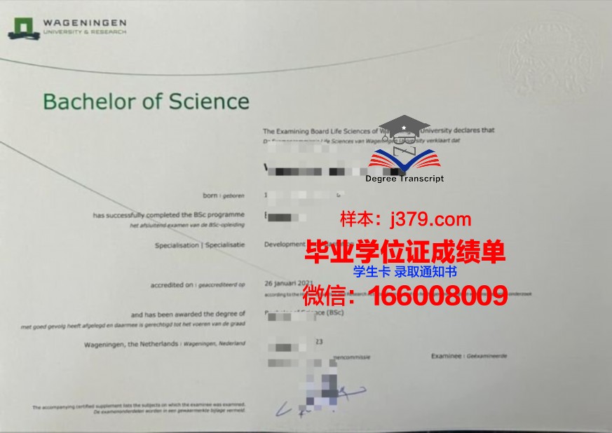十星本科证书:开启职业生涯的金钥匙