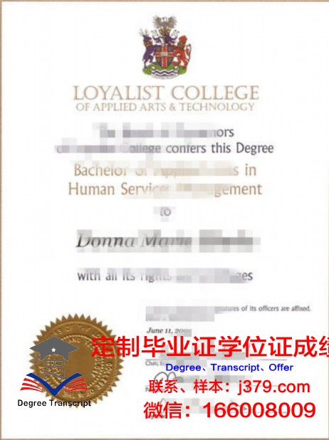 技术学院技能评估成绩单