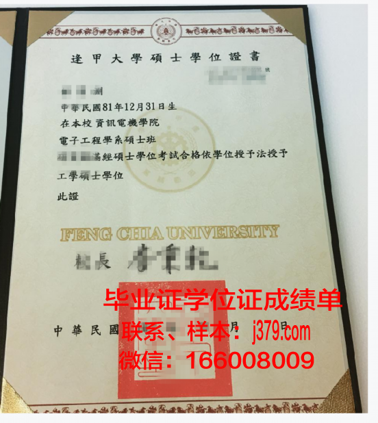 东芬兰大学学士学位证书