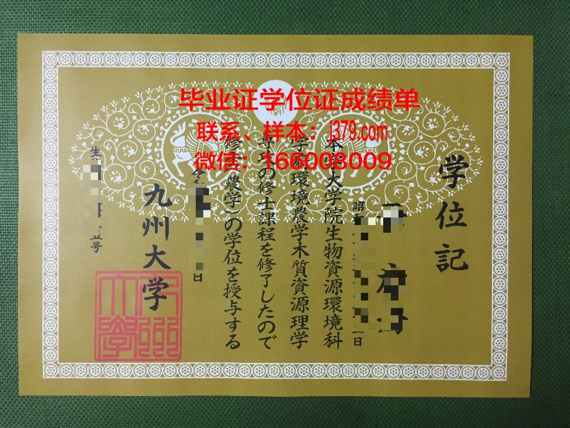 九州信息学府硕士研究生资格证书