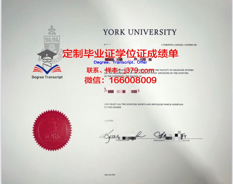 约克博士证书:职场晋升的加分项
