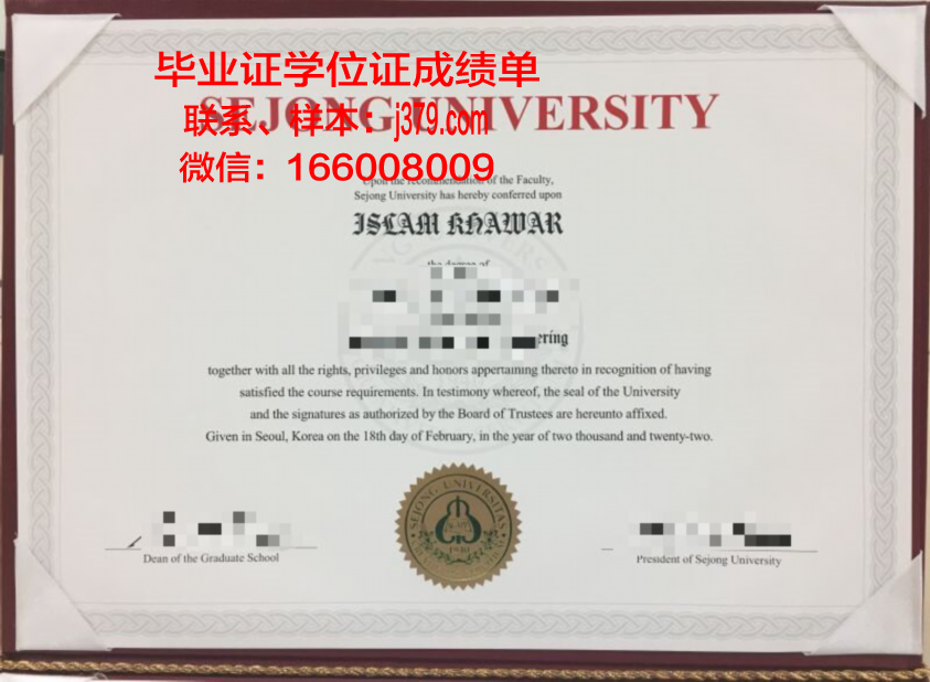 世宗研究生证书:专业课程设置与学术研究探讨