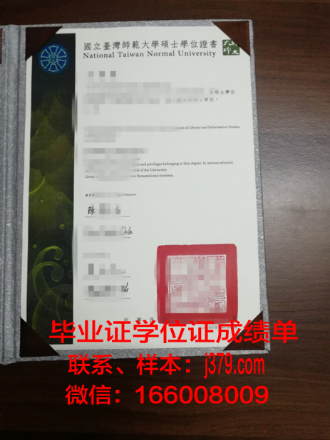 Meidai硕士学位证明