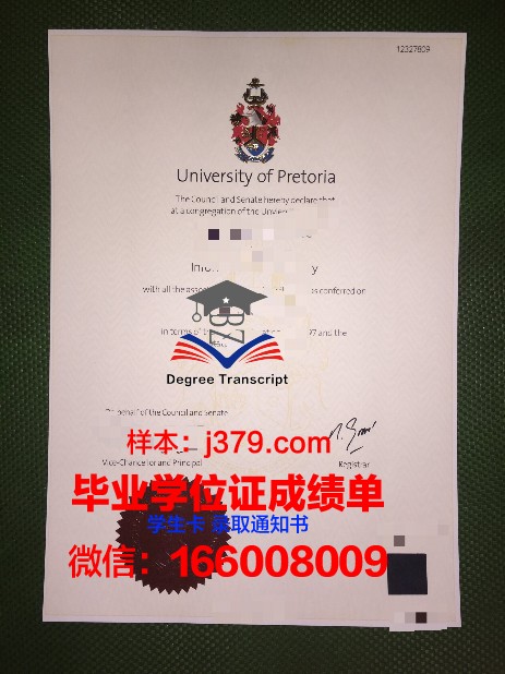 比勒陀利亚大学专业证书