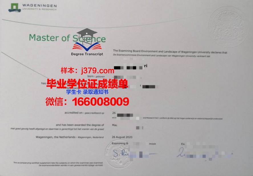 普埃布拉美洲大学硕士证书课程