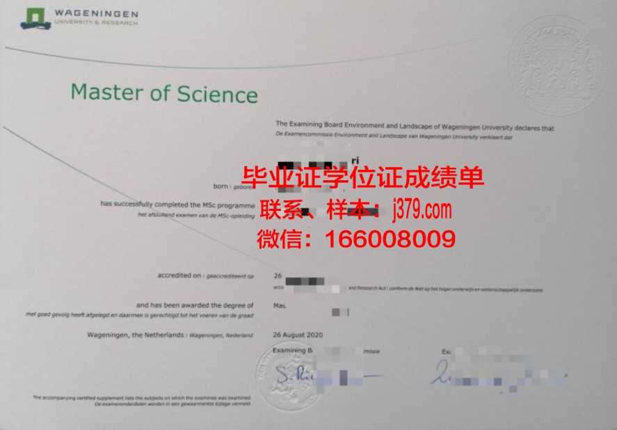 森吉硕士证书:助力职场发展的秘密武器