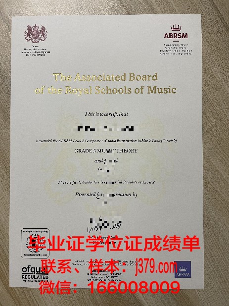 九大Diploma证书:国内外认可度与就业前景分析