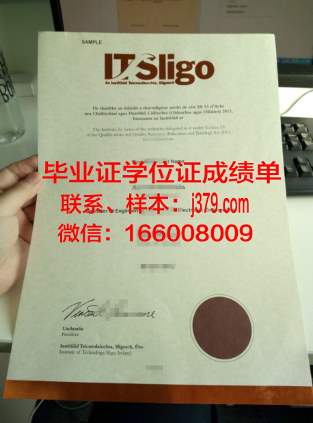 解读爱尔大本科证书的考取流程与要求