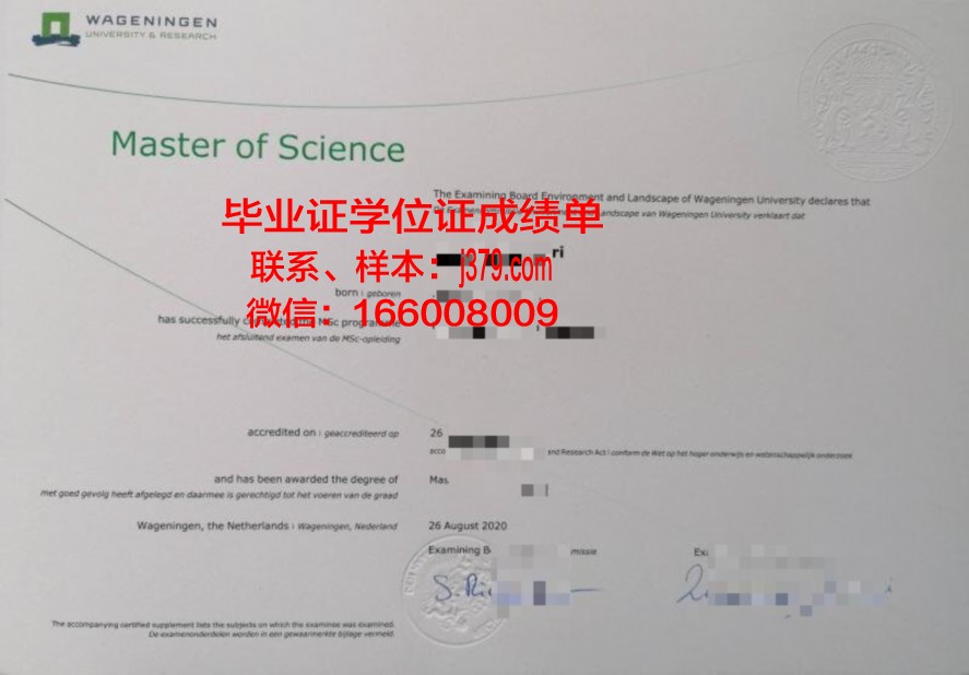 综合理工毕业证补办:常见问题解答