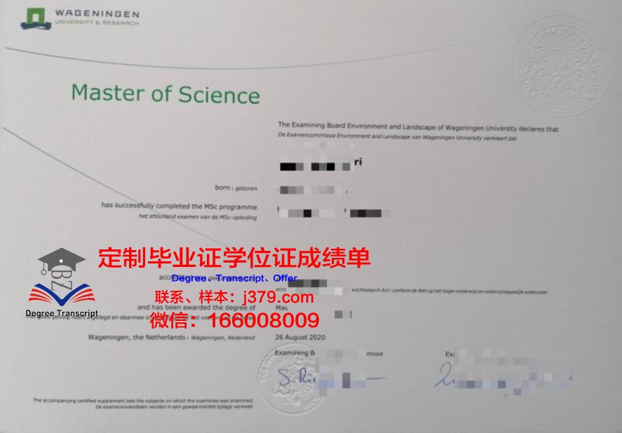 巴芒毕业证电子版验证与使用方法