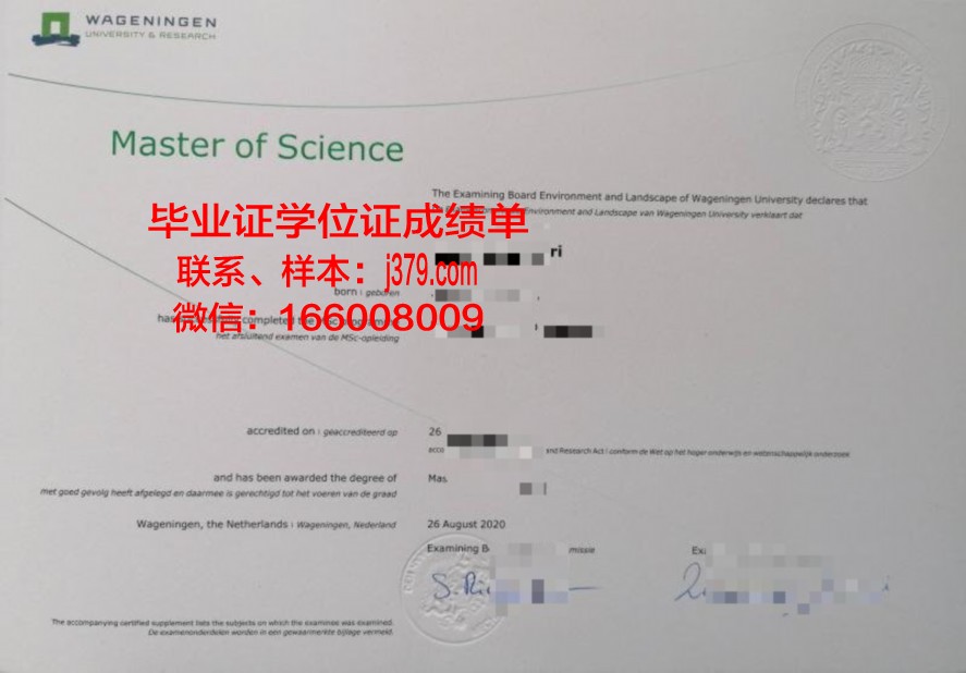 研究生毕业证:含金量与就业前景分析