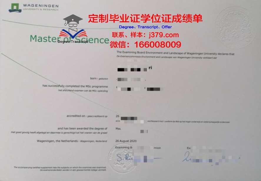 解读中大硕士证书:课程设置与培养目标