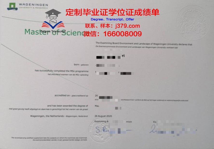 佩大毕业证成绩单与学历证明的关联分析