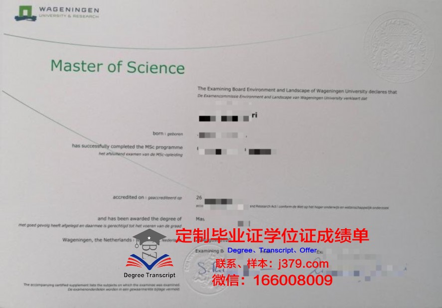 UMO毕业证文凭:真实案例与经验分享