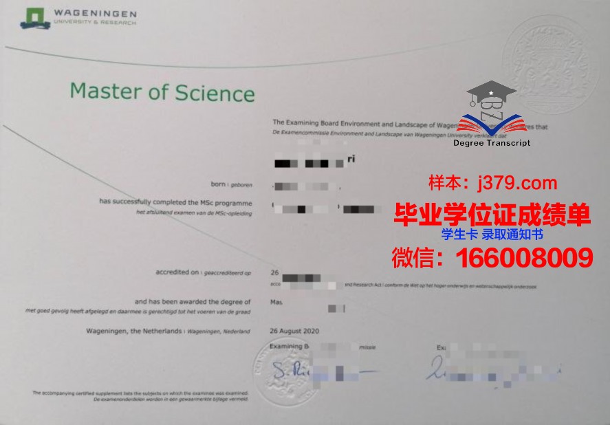 吞大本科毕业证:毕业论文写作攻略