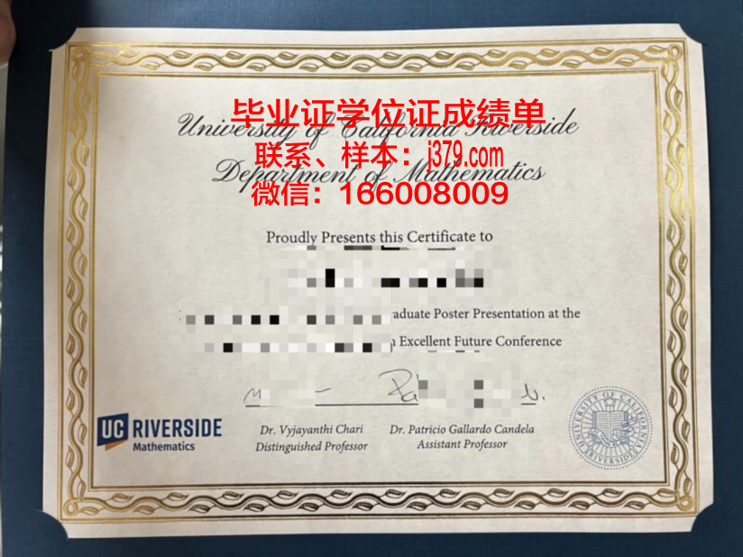 加州大学博士证书攻略:申请流程与要点解析