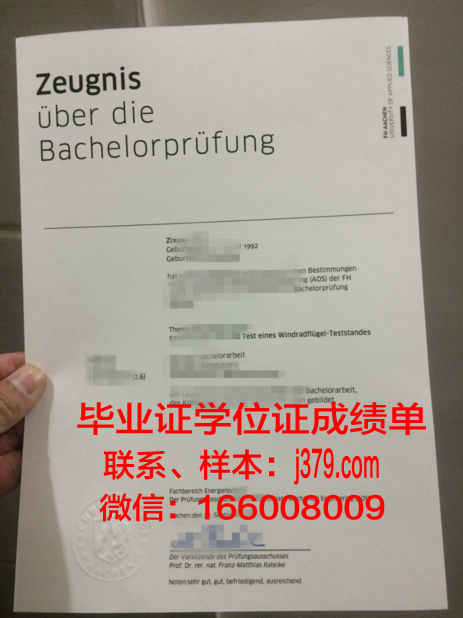 亚琛工科学校硕士证书:开启全球职业发展的大门