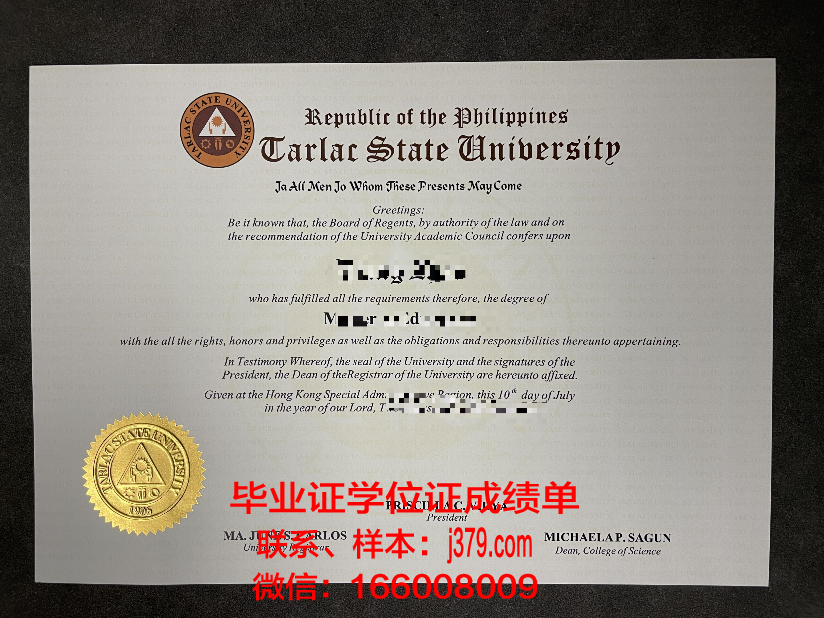 菲律宾莱西姆大学研究生学历证书