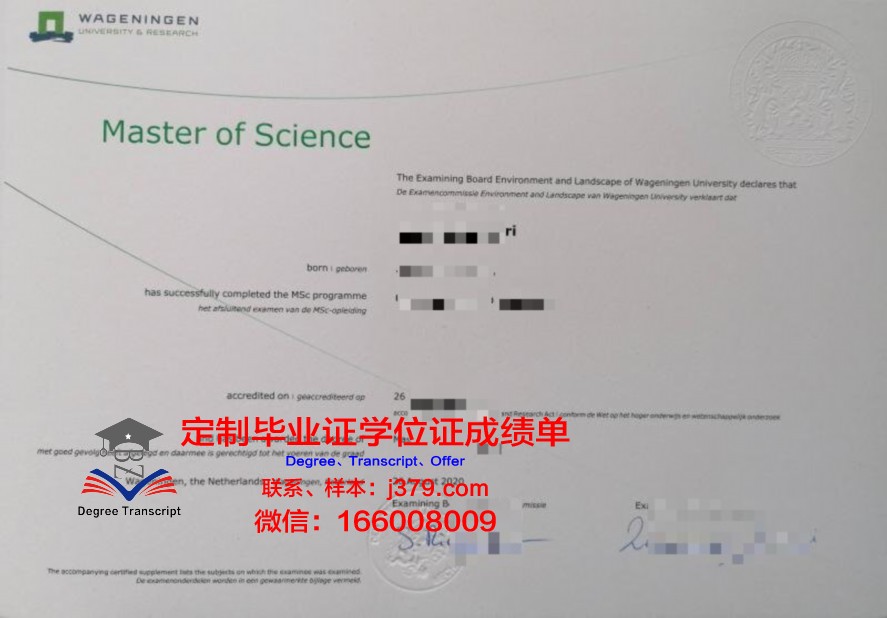 犹达大毕业证电子版存储与安全指南