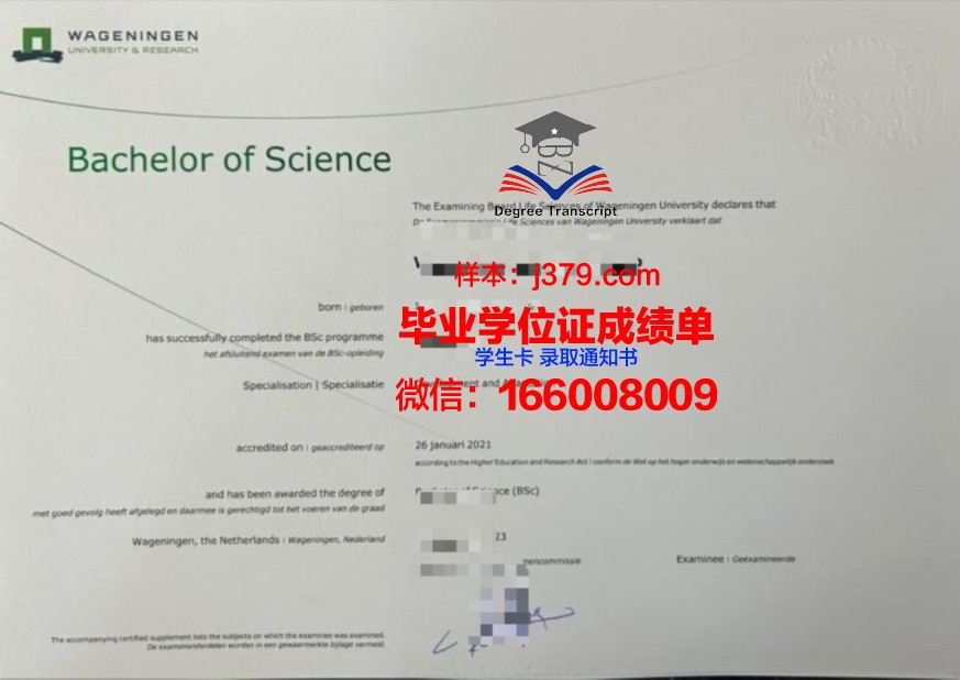 埃默里本科证书:助力学生实现梦想的优质教育