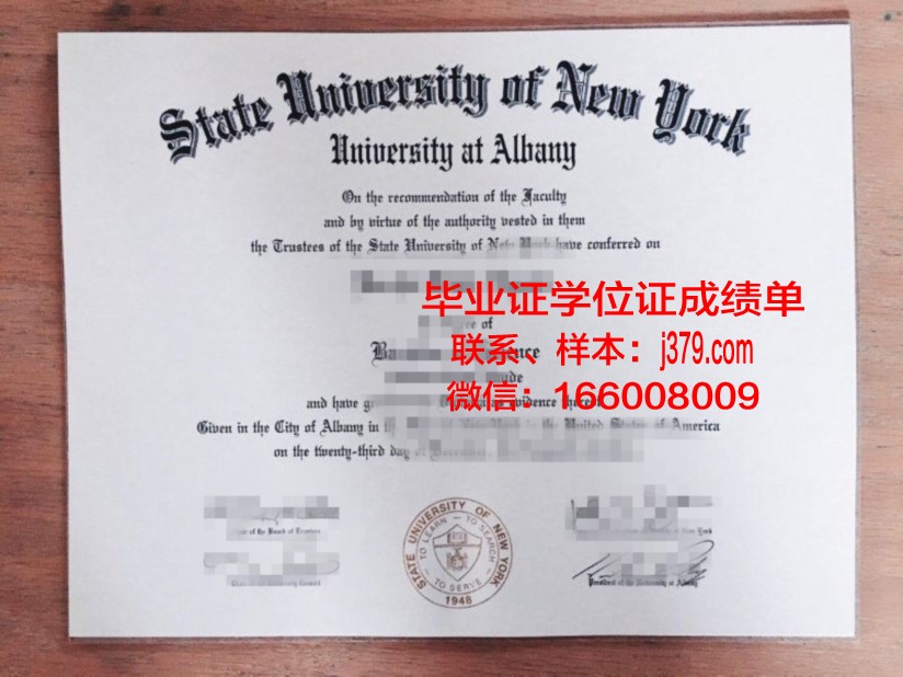 SUNY奥尔巴尼毕业学历证明