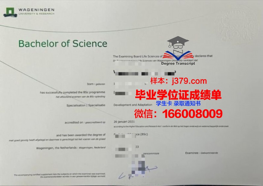 CFL本科毕业证书