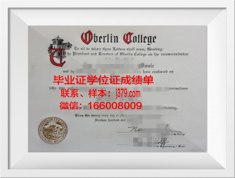 柏林艺术大学学历证明图像一览
