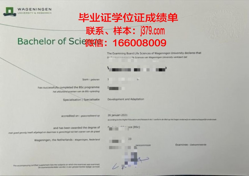 克拉巴高校本科阶段毕业资格证书