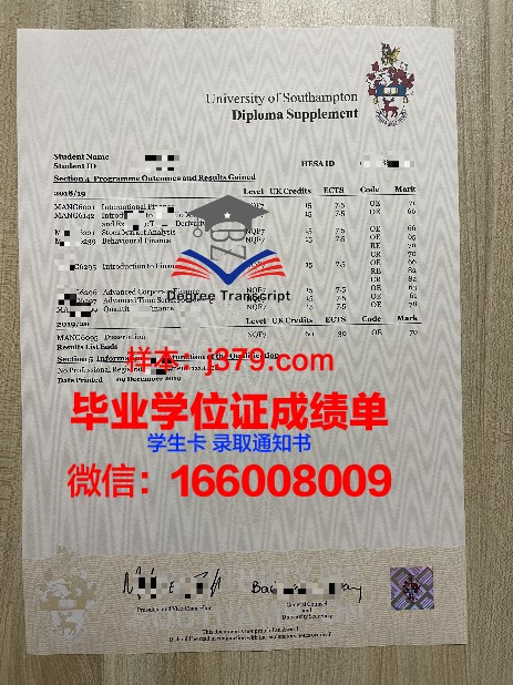 ITB成绩单解读:全面解析各项指标