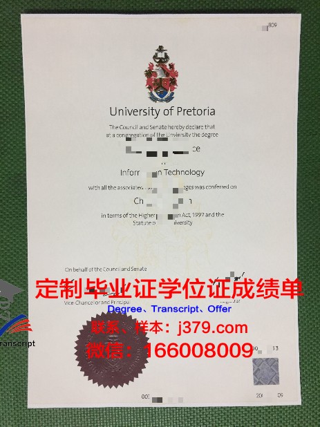 比勒陀利亚大学专业证书