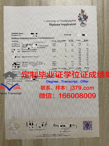 卡大成绩单分析:关键指标与评分标准详解