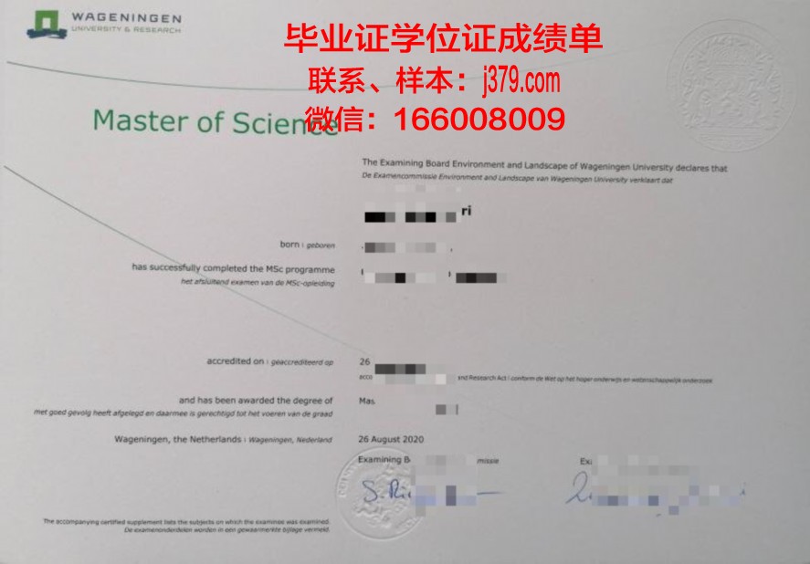 圣大斯毕业证学历:求职竞争力提升关键