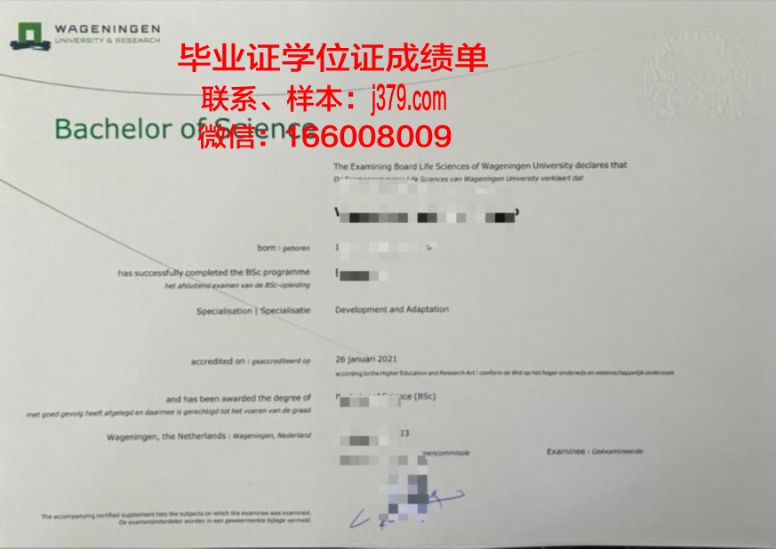 南里奥大本科证书课程设置介绍