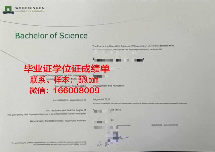 大学院综合研究本科毕业证书