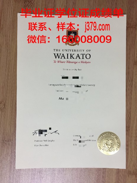 深度剖析:卡托研究生证书的培养目标