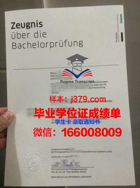 亚琛工科学校硕士证书:开启全球职业发展的大门