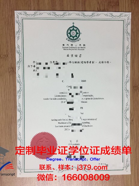 九大硕士毕业证:导师评价与建议
