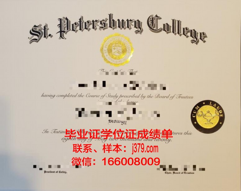 圣彼得堡国立电信大学学历证书