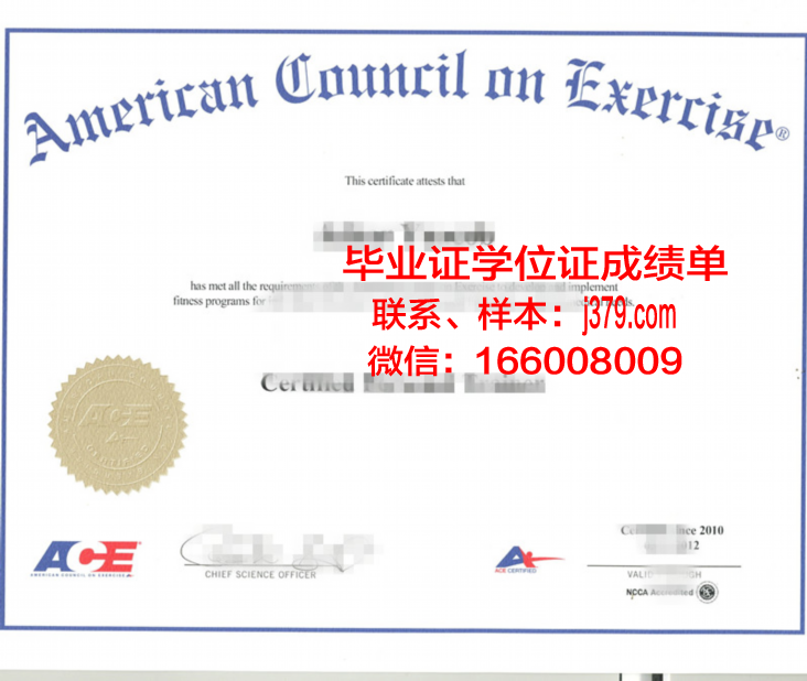 特拉大硕士证书:国内外合作项目与交流机会