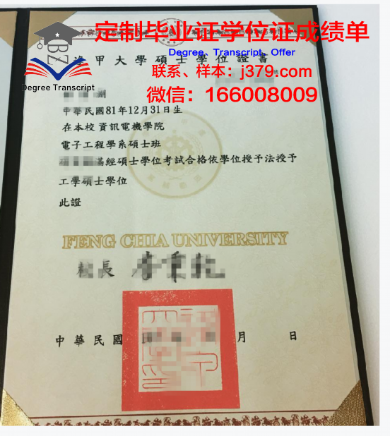 IEP项目学士学位证书